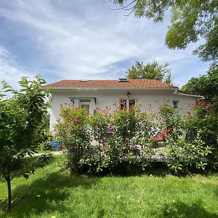 Pomponne The Little Oak - Tiny House With Bed On Mezzanine & Terrace - From 1 To 4 P Disney, Paris & Cdg מראה חיצוני תמונה